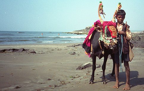 Anjuna Beach Goa